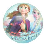 Disney Lisanslı 23 Cm Top