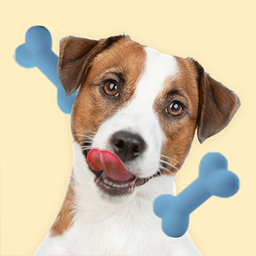 Köpek