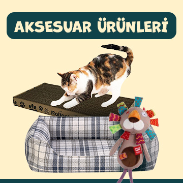 Aksesuar Ürünleri