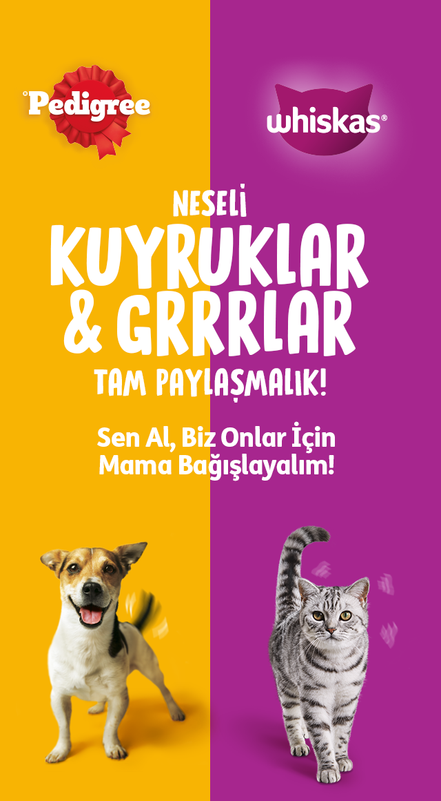 Sen Al, Biz Onlar İçin Mama Bağışlayalım!