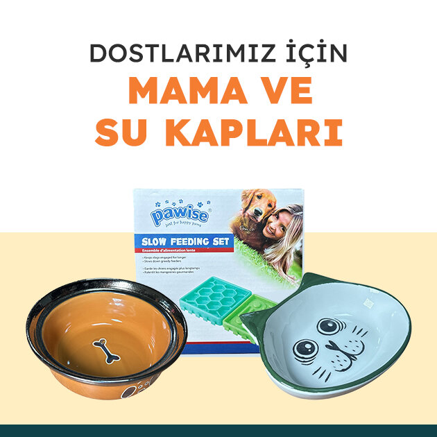 Dostlarımız için mama ve su kapları! | Freebox